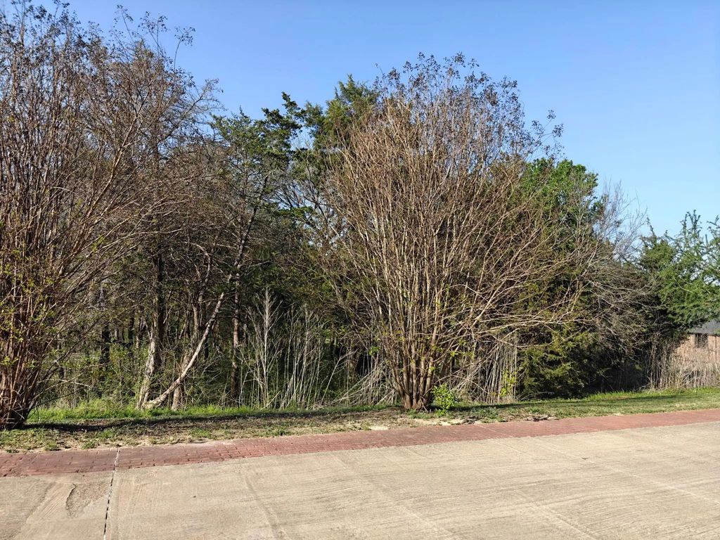 4021 Waters Edge Drive, Midlothian