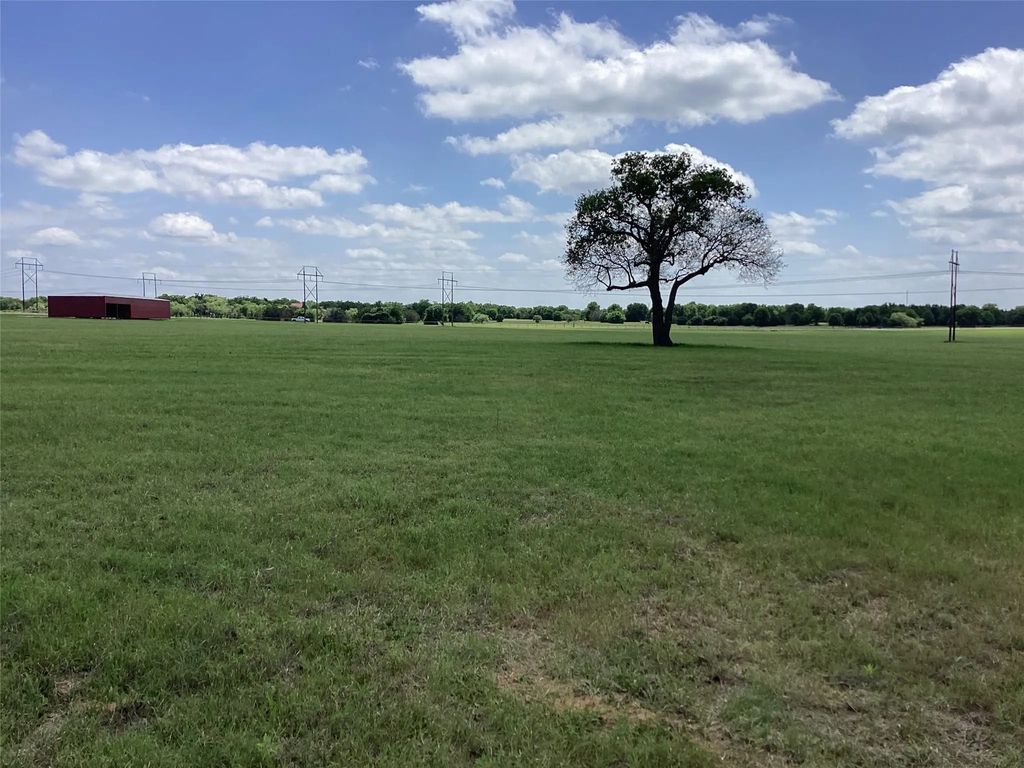 Tbd Brown, Palo Pinto