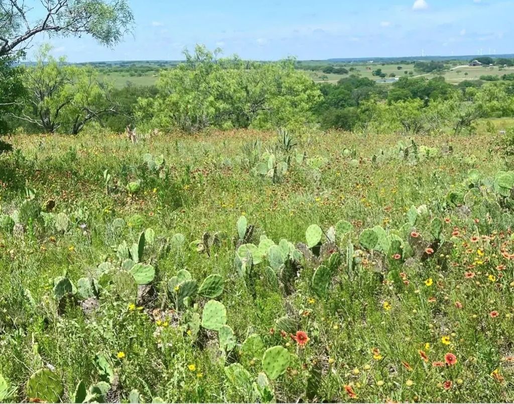 Lot 59 Comanche Lake Road, Comanche