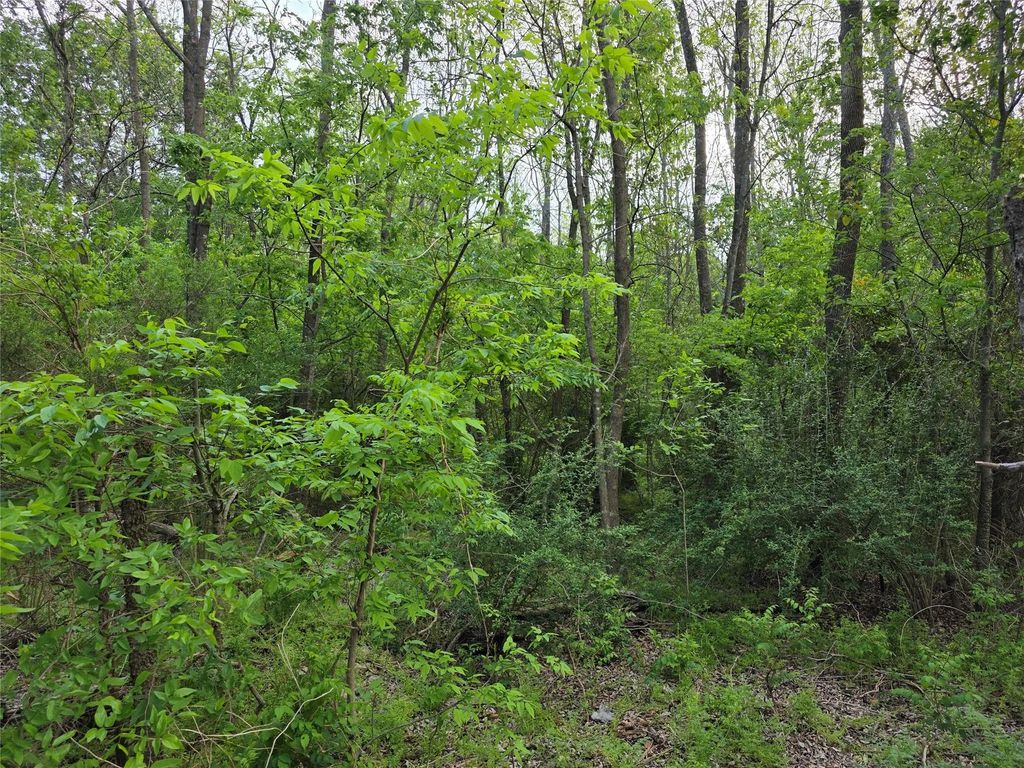 1202 Rosemary Street, Greenville