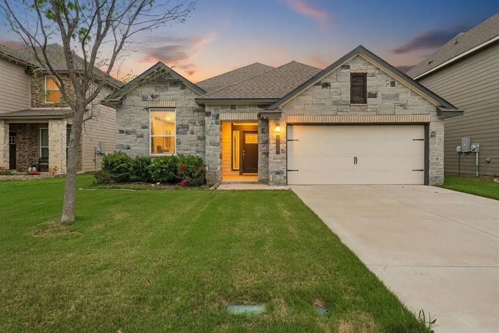 11217 Pallasite Court, Waco