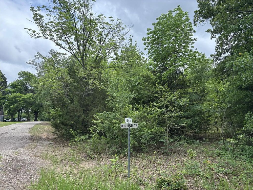 Tbd Red Bud Trail, Quinlan