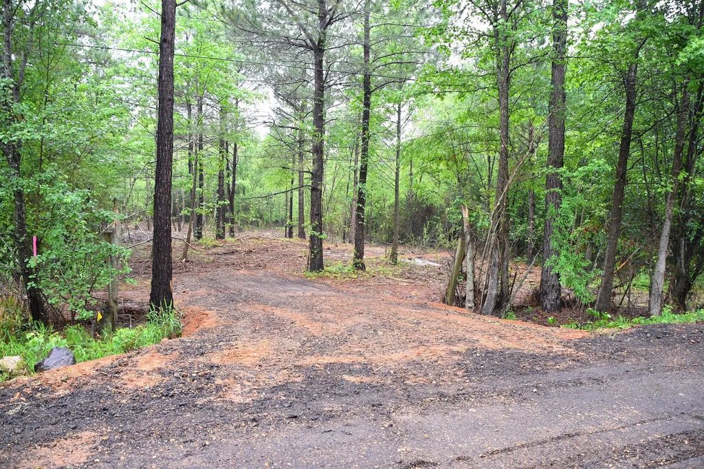 Collins Road, Nash