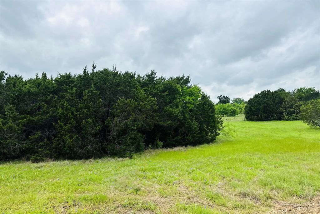 8356 Bruntsfield Loop Drive, Cleburne