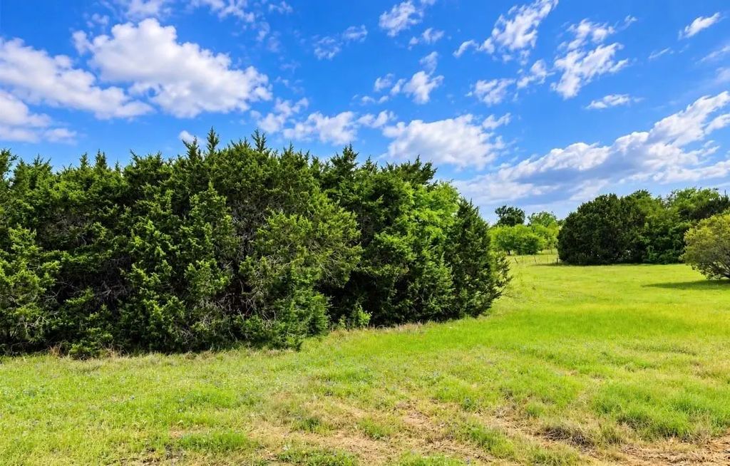 8356 Bruntsfield Loop Drive, Cleburne