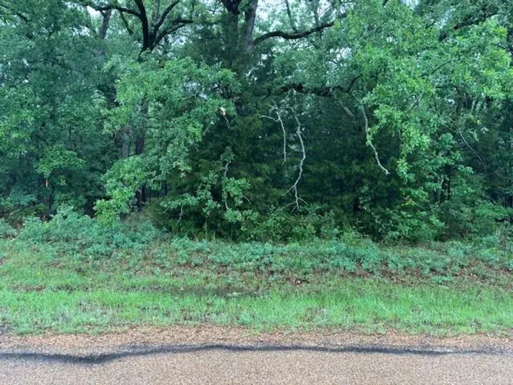 111 Double Bridge Road, Mabank