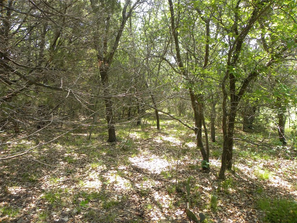 1303 Ash Court, Whitney
