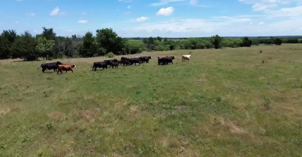 10.5 Acres Ohanlon Road, Whitesboro