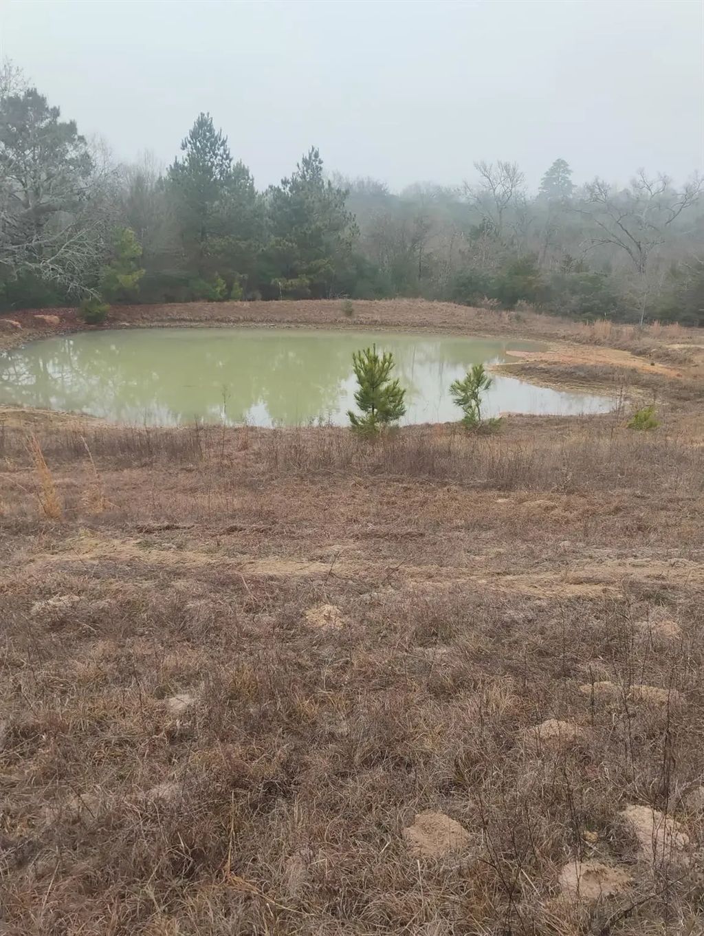 Tbd County Road 204, Centerville