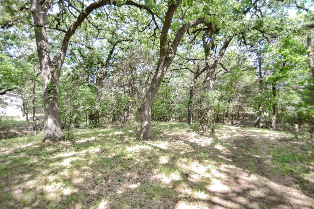 11991 Fm 901, Sadler