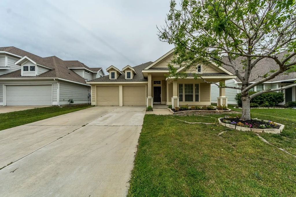 9924 Wild Ginger Drive, McKinney