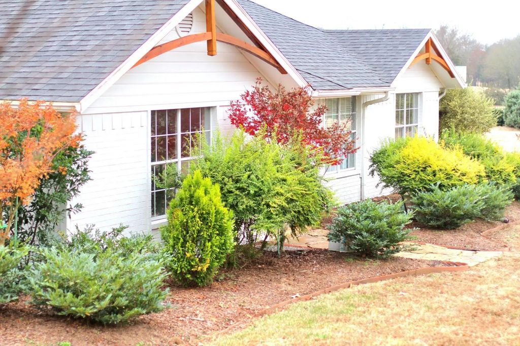301 County Road 44000, Blossom