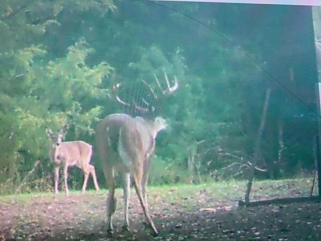 190 Private Road 5825a, Groesbeck
