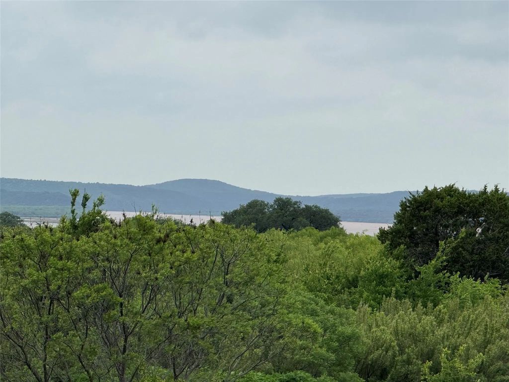 434 Indigo Bush, Graford