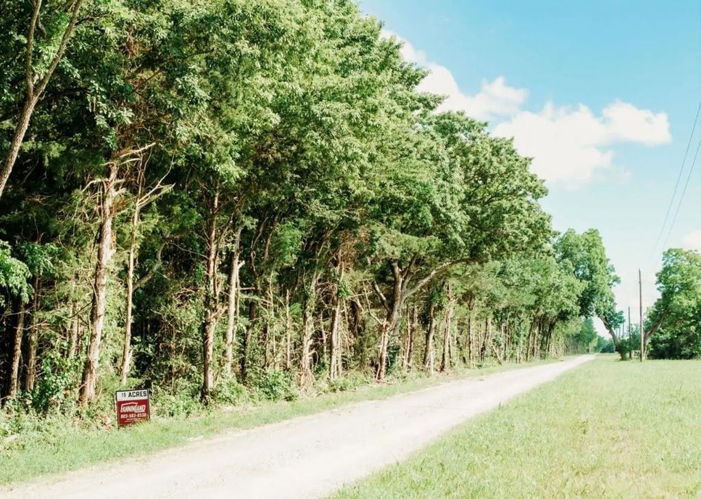 Tbd Cr 2975, Honey Grove