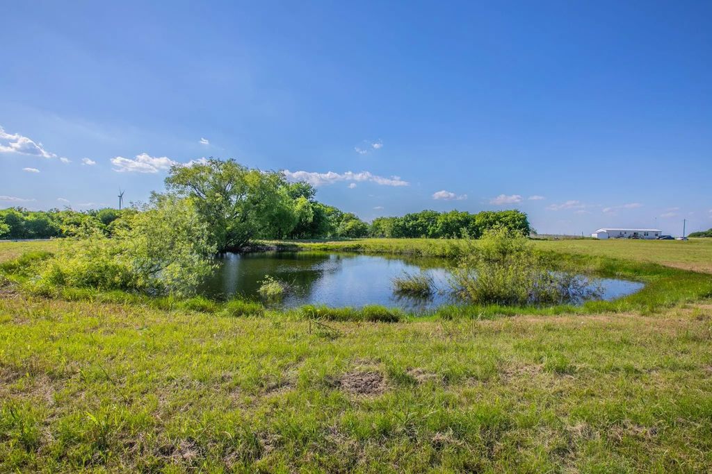 958 County Road 3254, Mount Calm