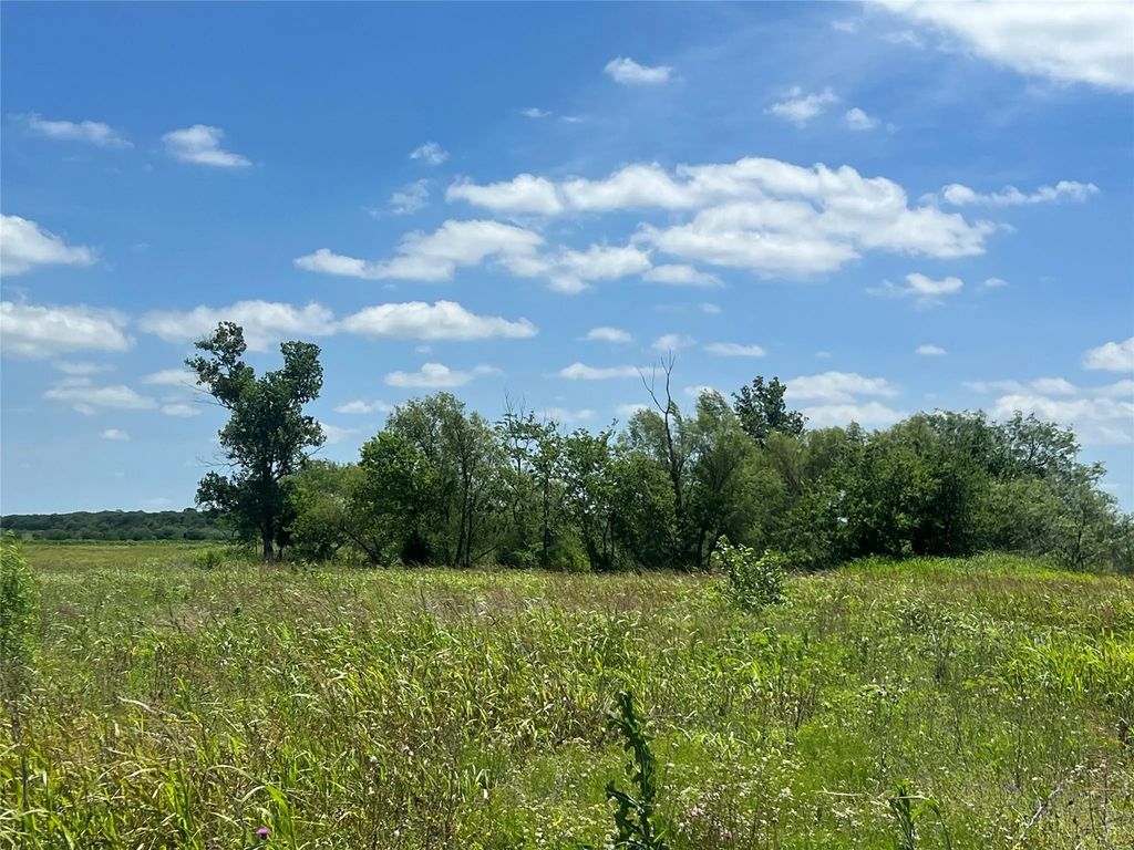 Tbd Hcr 1153, Blum