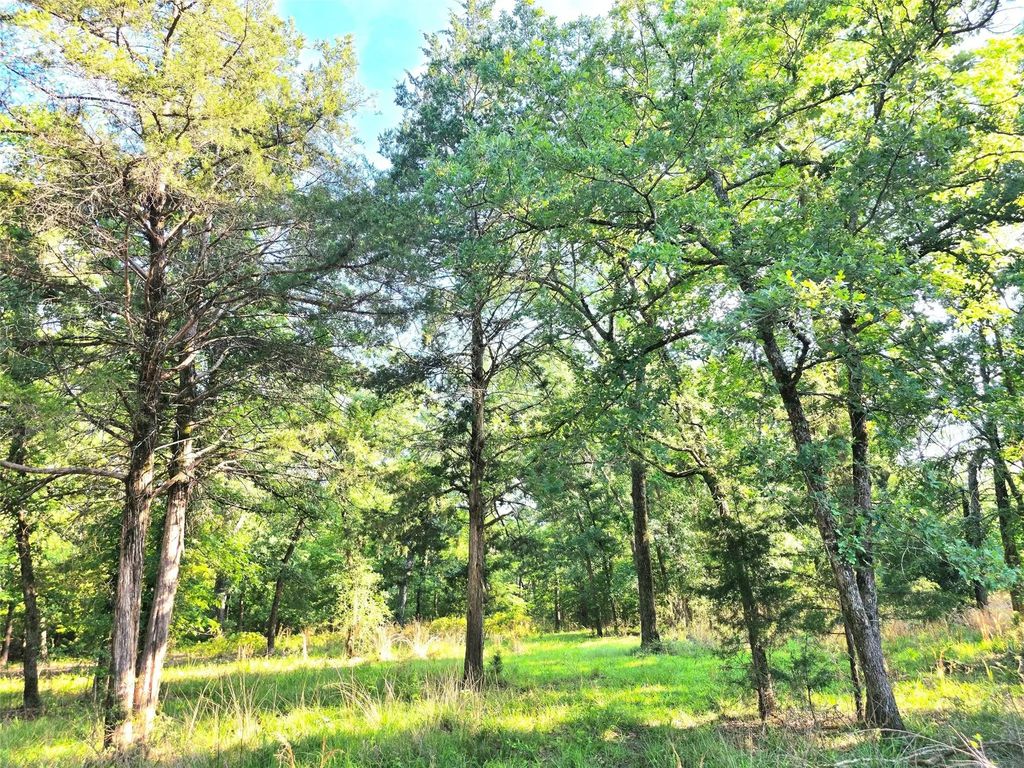 Lot 377 Timber Ridge, Larue
