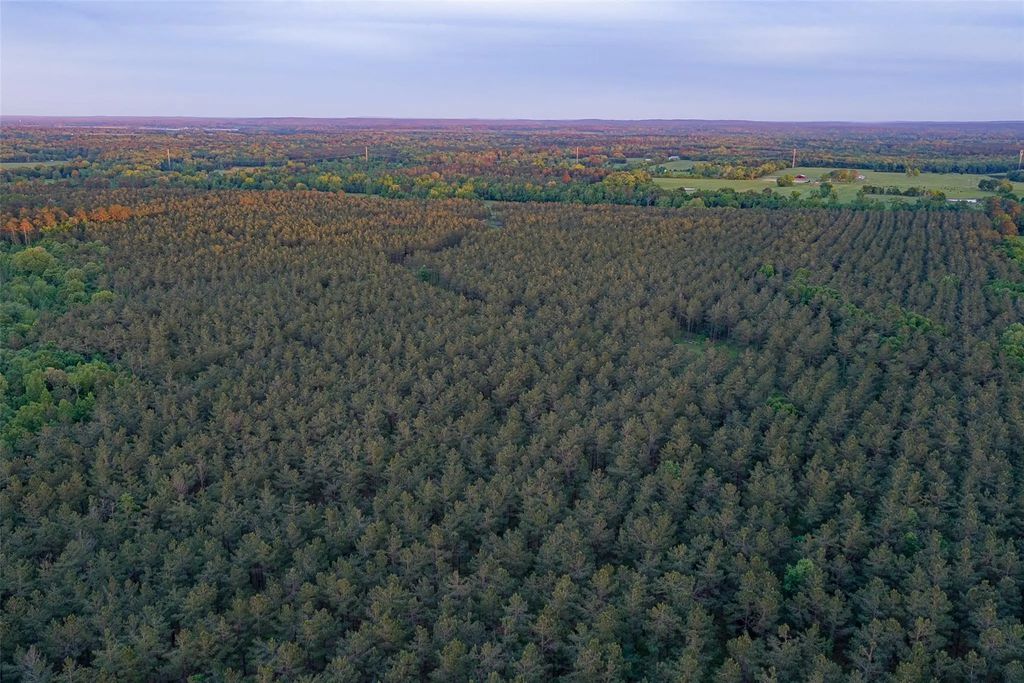 Cr 155, Long Branch