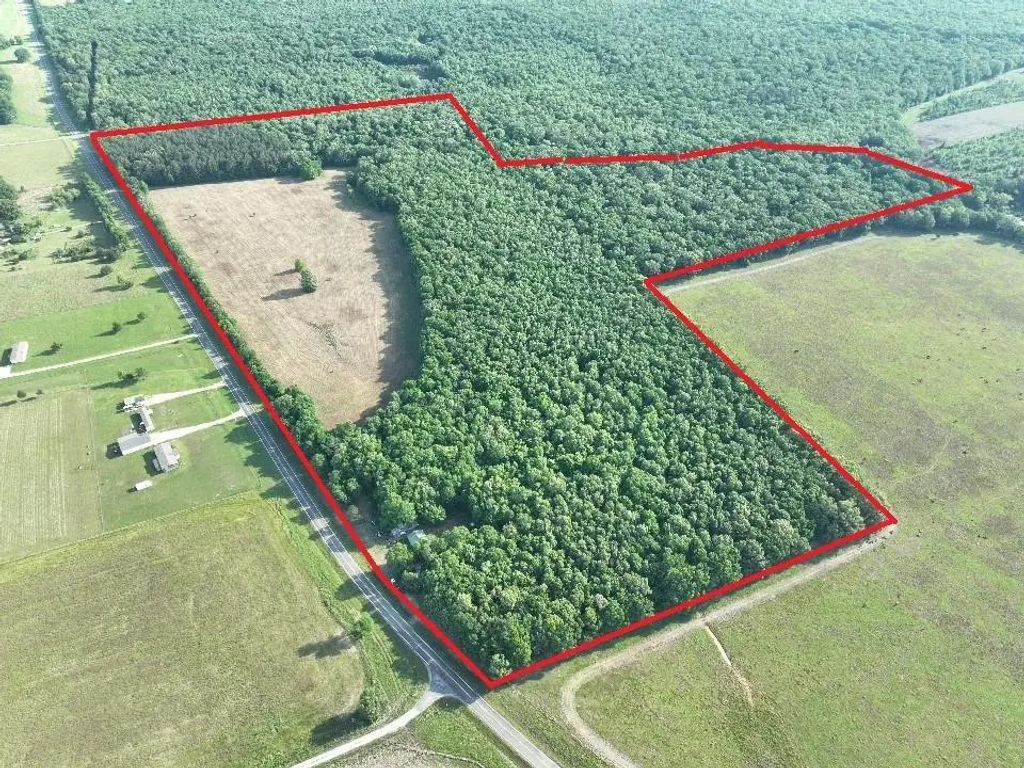 7453 Farm Road 412, Clarksville