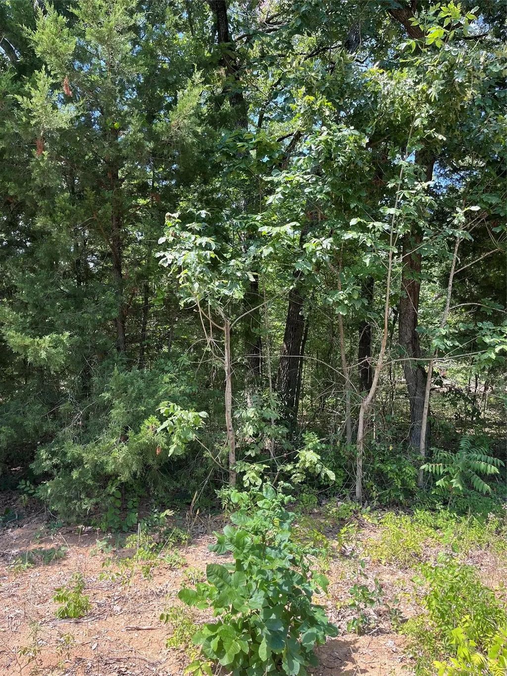 106 Red Bluff Loop, Mabank