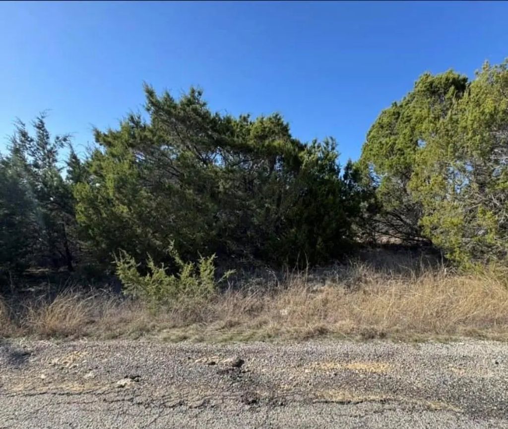 4711 Evening View Drive, Granbury