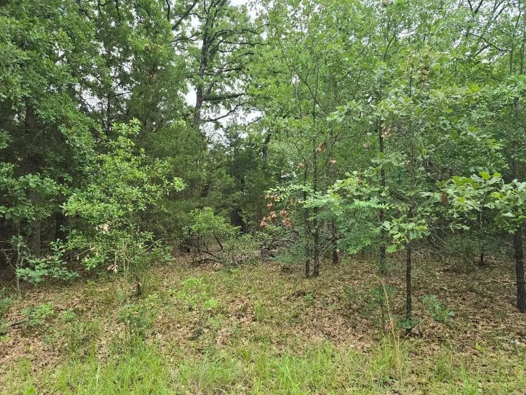 Lot 1007 Kickapoo Trail, Mabank