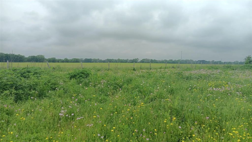 Tbd Cr494n, Chilton