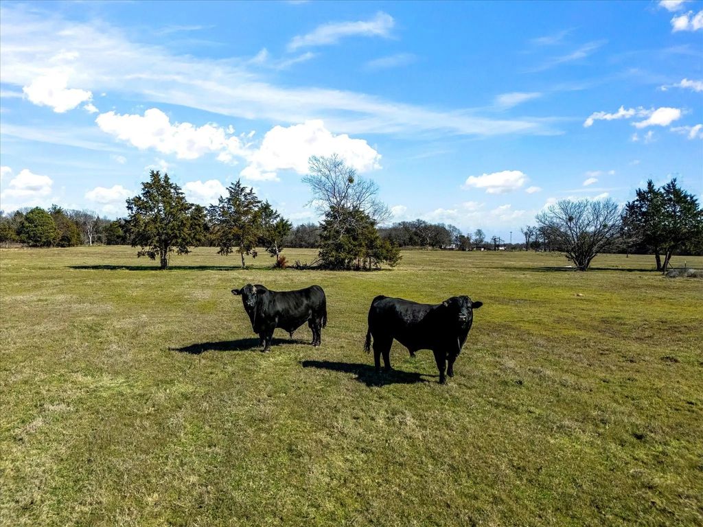 11095 E State Highway 31, Kerens