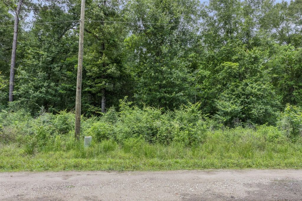 19116 Surrey, New Caney