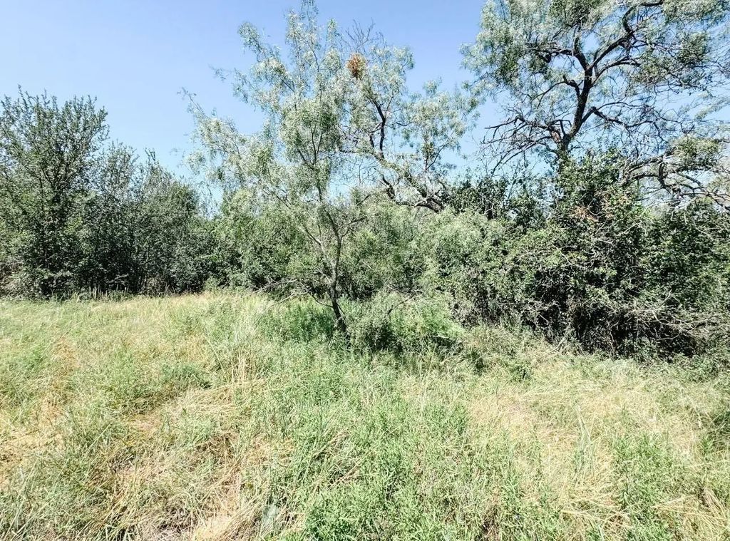 Lot 11 Morris Sheppard Drive, Brownwood