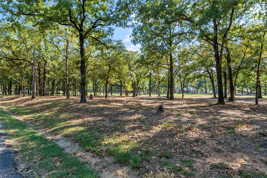 221 Colonial Drive, Mabank
