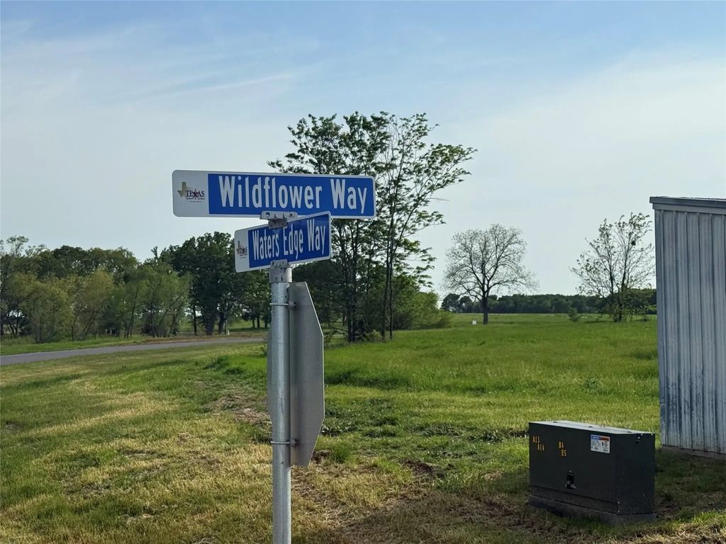 235 Wildflower Way, Dodd City