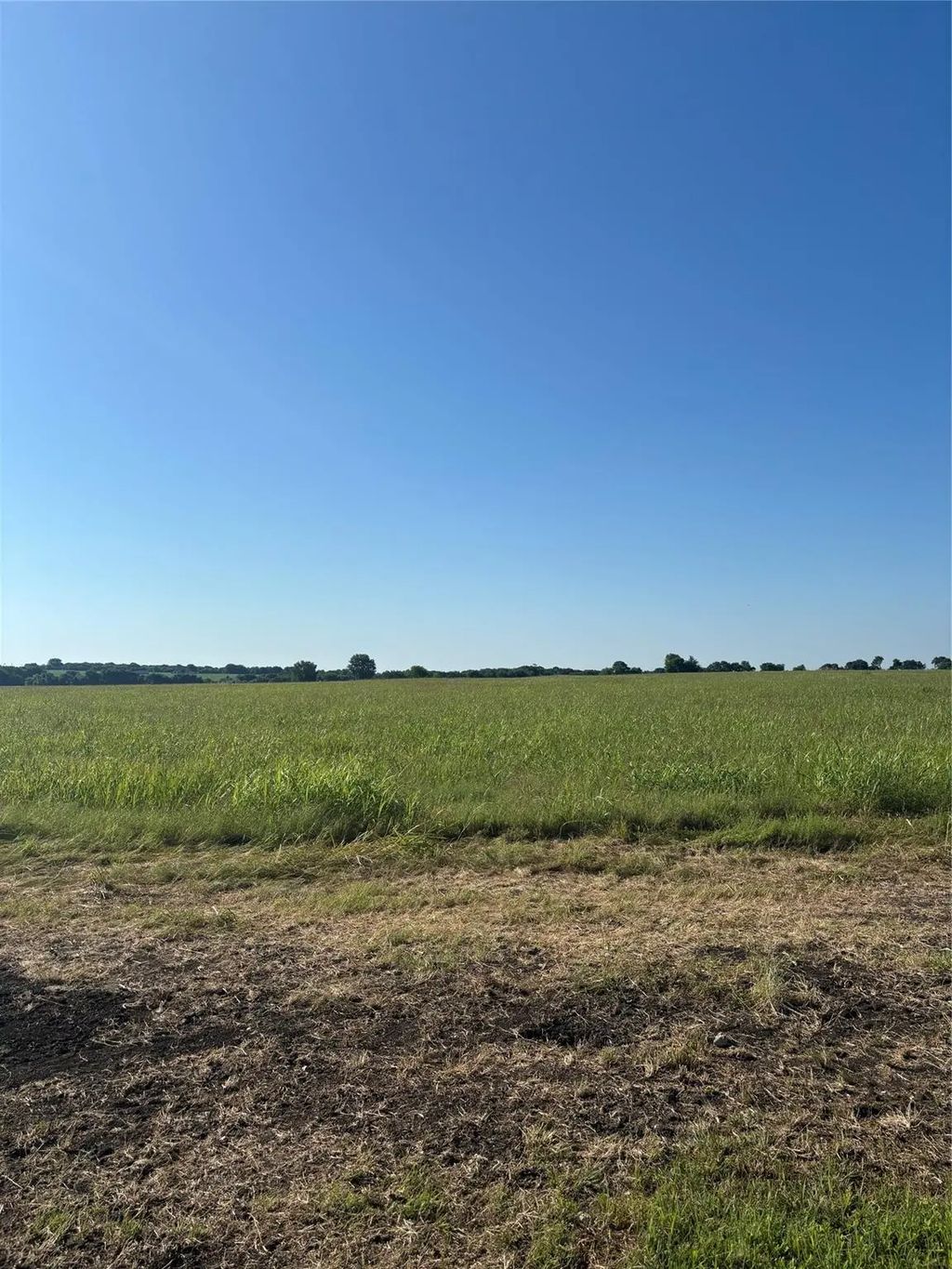 Tbd Boz Road 6, Waxahachie