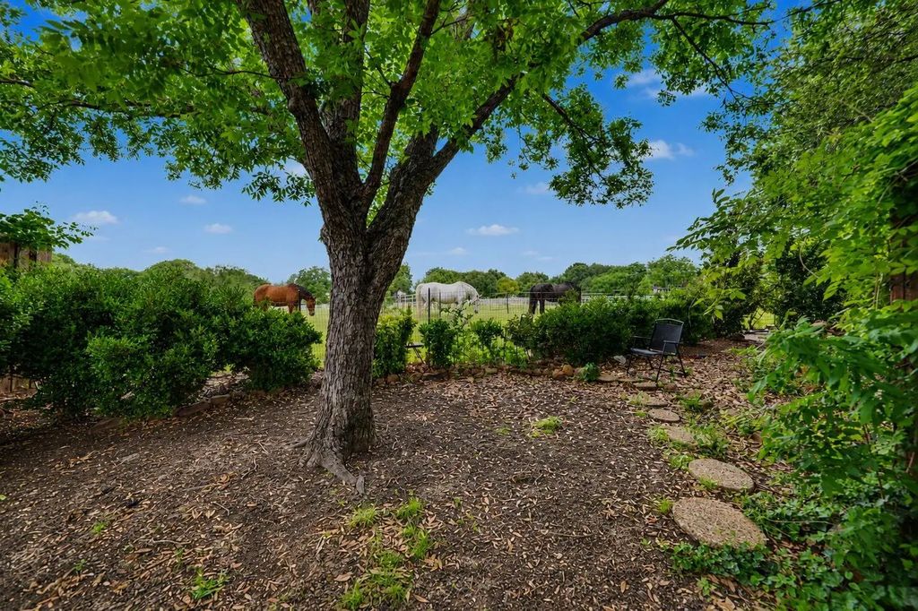 1905 Lakeway Drive, Rowlett
