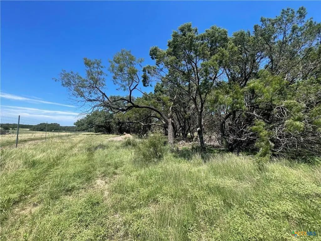 Lot 65 Estate View Circle, Lampasas