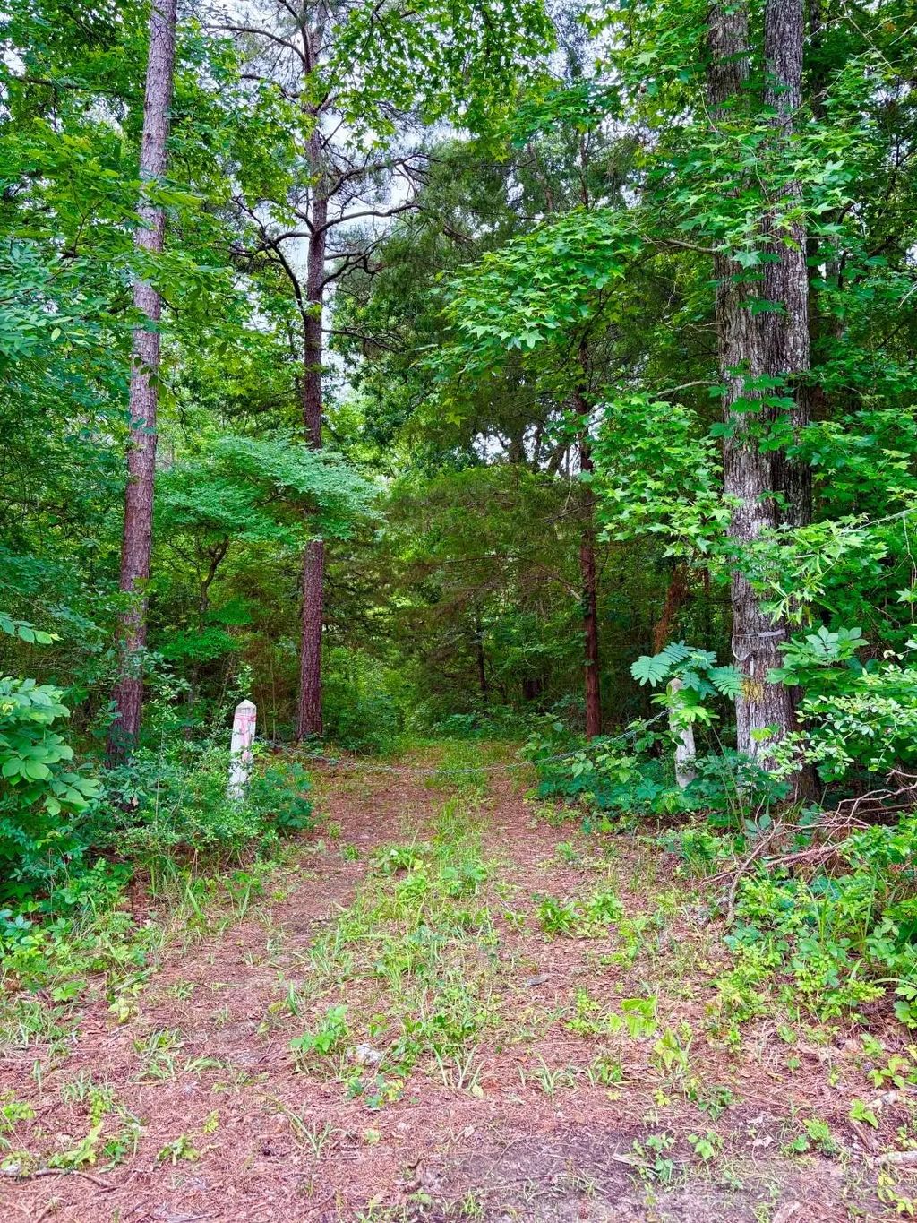 Tbd County Road 4504, Jacksonville