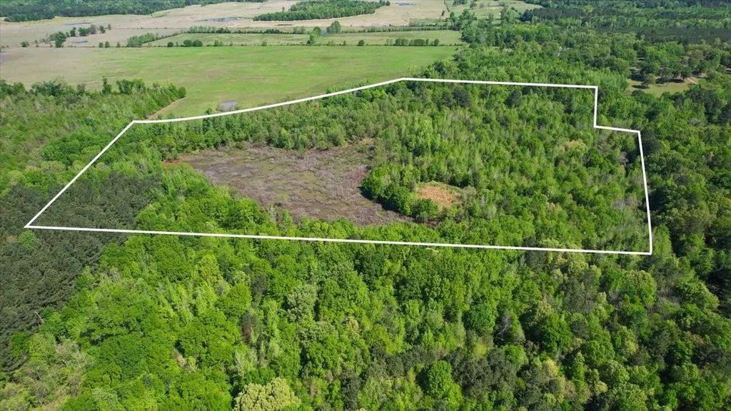 Tbd Cr 1143, Daingerfield