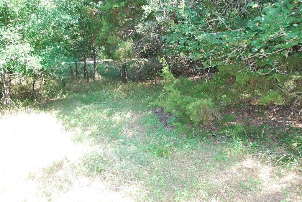 1306 Overlook Drive, Whitney