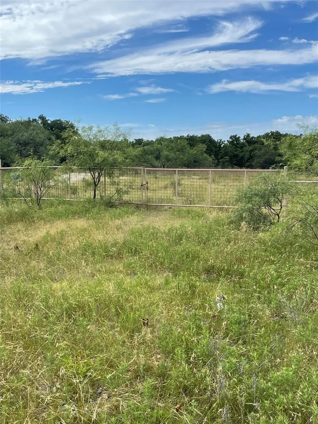 31.09 Ac Hoefle Road, Jacksboro