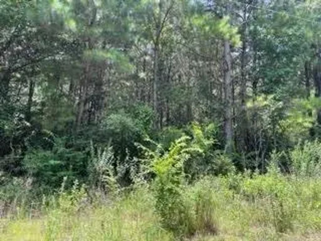 Lot 5 Fm 556, Pittsburg