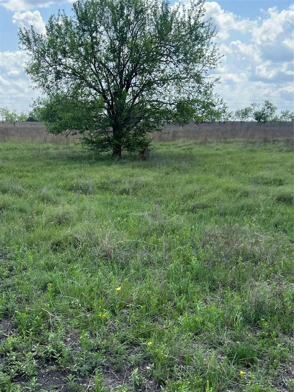 #28 Private Road 4311, Jonesboro
