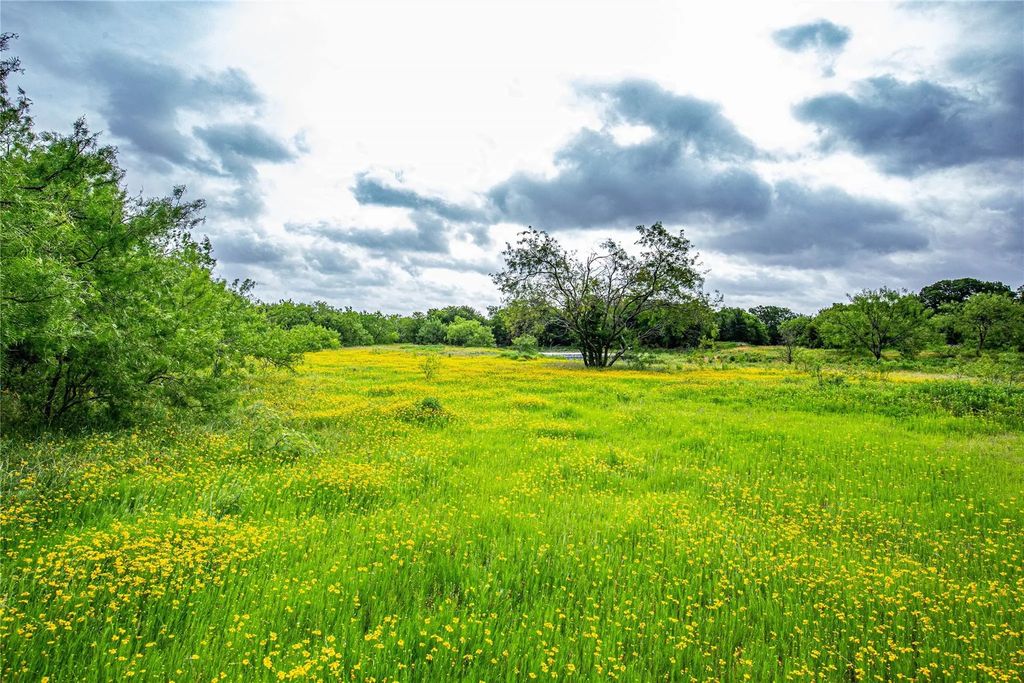 Tbd Gholson Rd, Waco