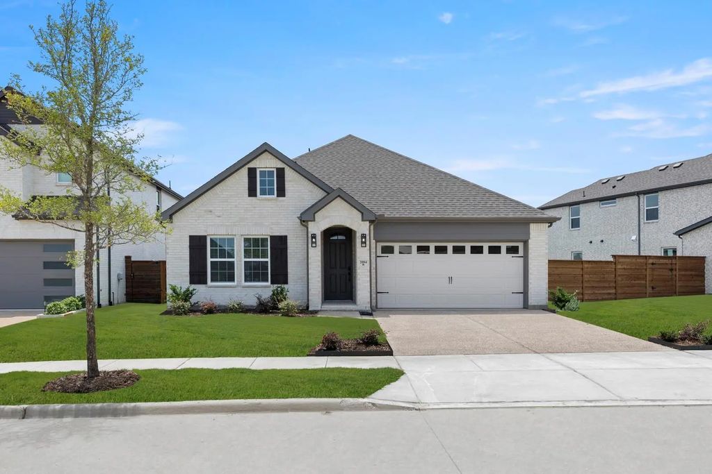 2004 Blossom Trail, Mesquite