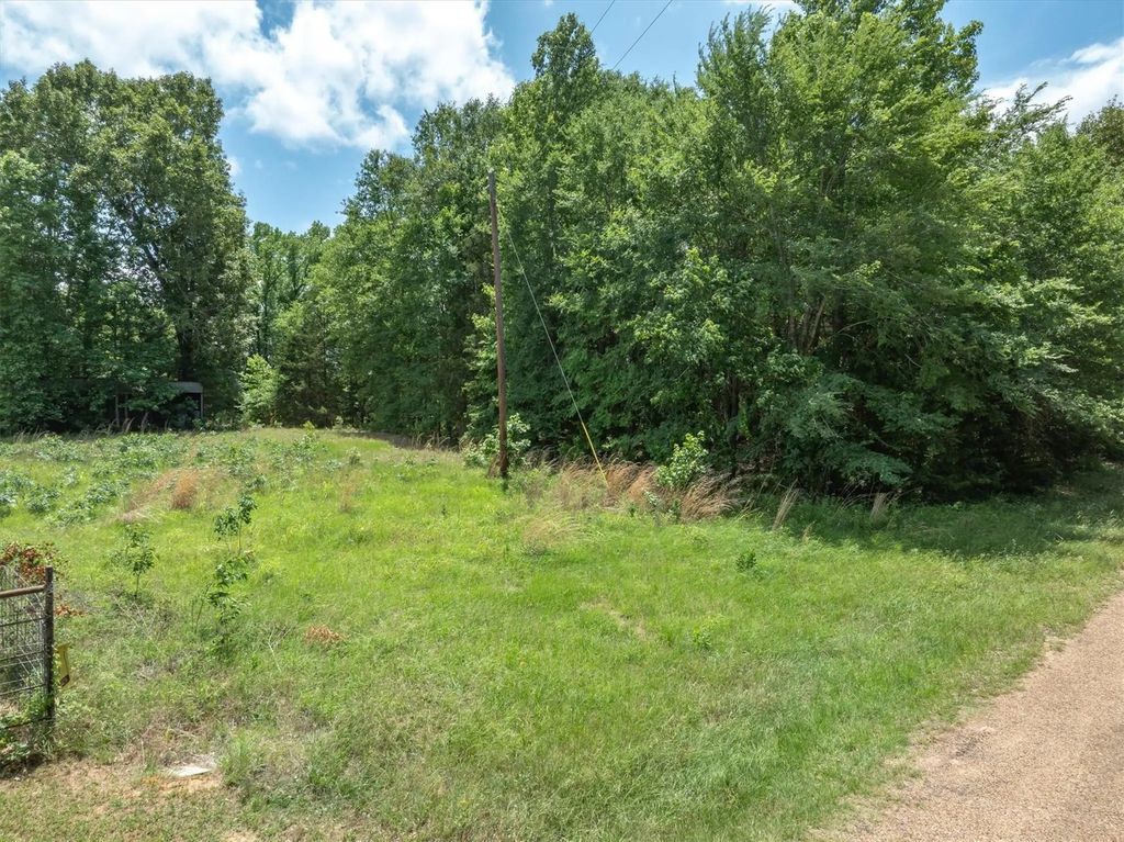 Tbd Vz County Road 4909, Ben Wheeler