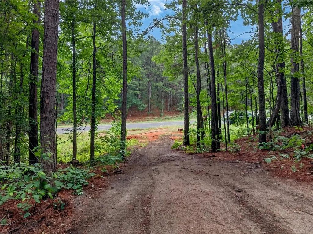 Tract 53.1 Hwy 31, Tyler