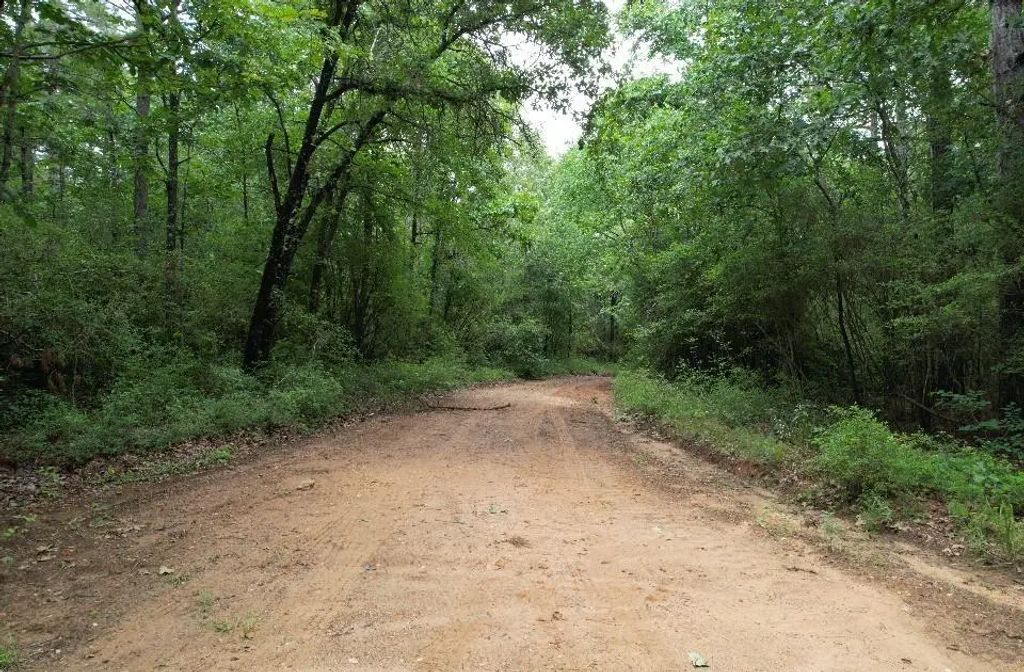 Tbd County Road 4679, Tenaha