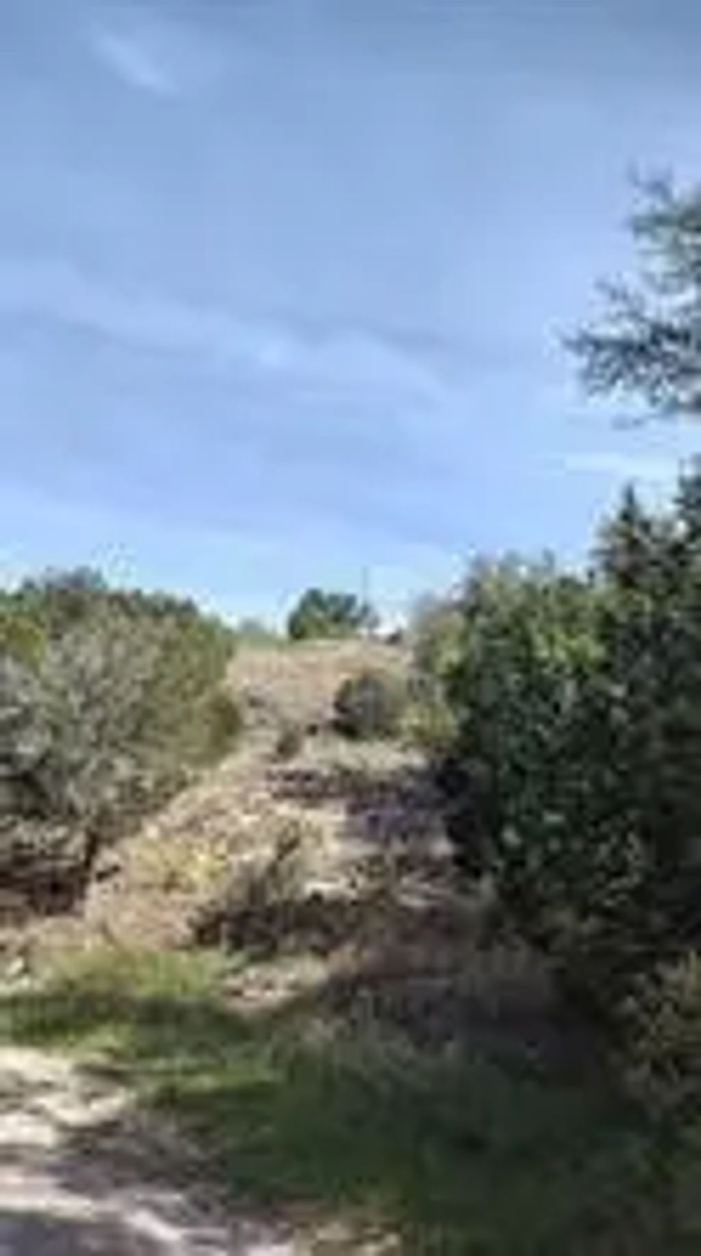 2611 Steepleridge Circle, Granbury