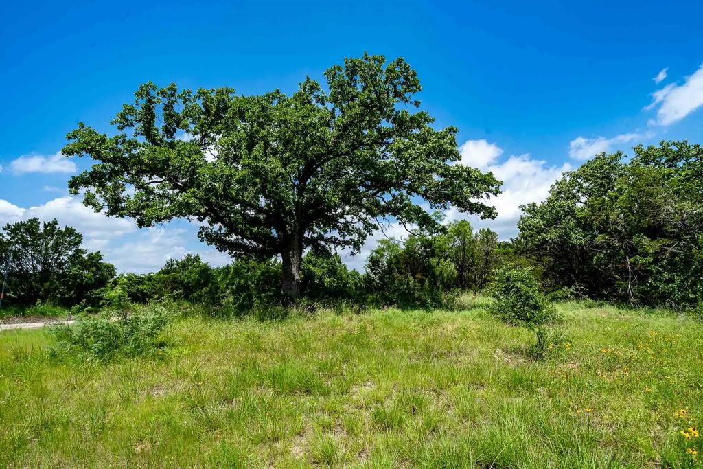 Tbd Fm 203, Glen Rose