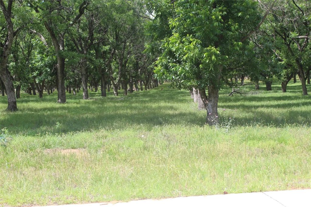 206 Poco Bueno Court, Granbury